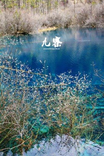 超可爱啦啦队女生