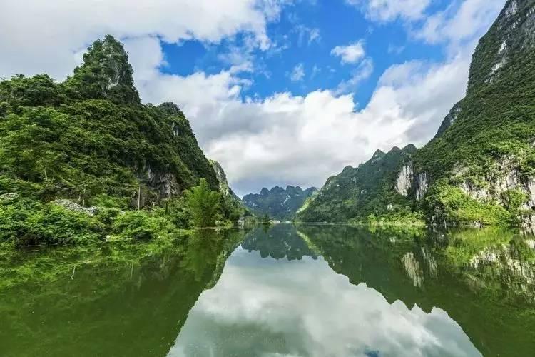 紫色系